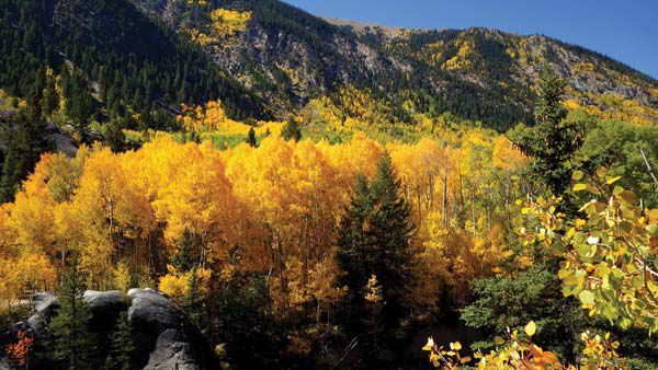 Welcome to fall